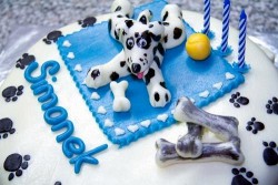 Jedlé dekorace a carving