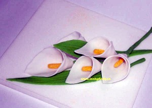 Jedlé dekorace a carving