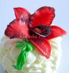 Jedlé dekorace a carving