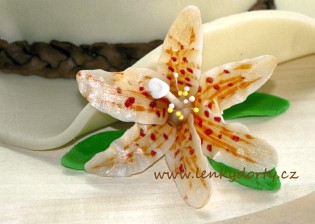 Jedlé dekorace a carving