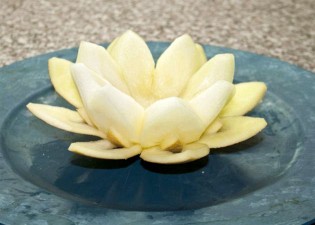 Jedlé dekorace a carving