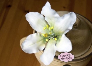 Jedlé dekorace a carving